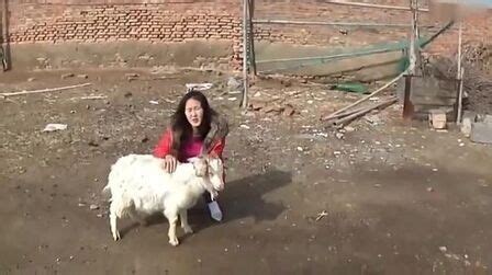 小女孩害怕杀羊