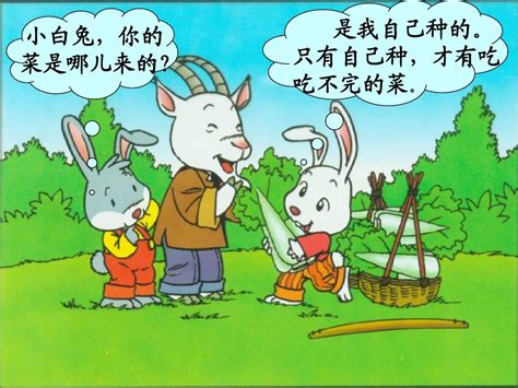 小白兔种白菜的故事寓意