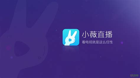 小薇电视直播app