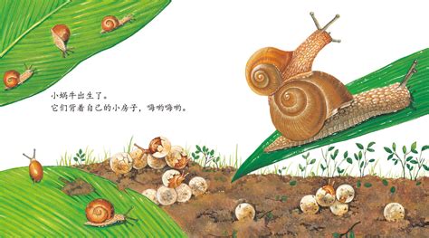 小蜗牛绘本故事ppt