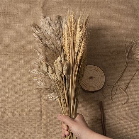 小麦穗装饰墙面