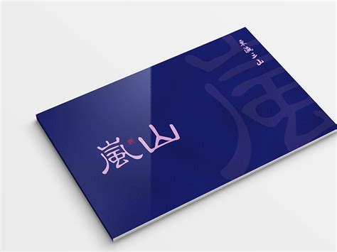 岚山网站设计公司