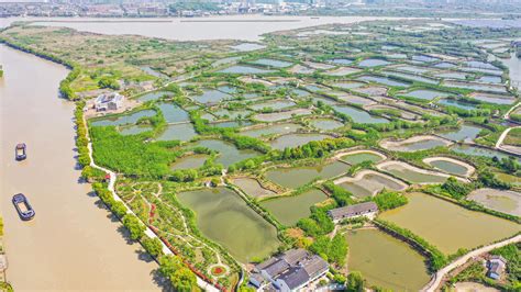岳阳县城哪里有便宜的鱼塘