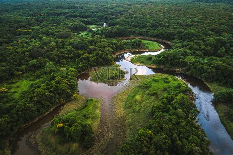 巴西的原始森林怎么样了