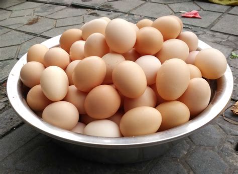 市场上卖的土鸡蛋是哪里来的