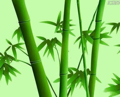 带有竹子风景微信头像