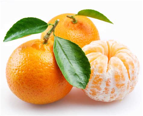 带橘子的唯美网名