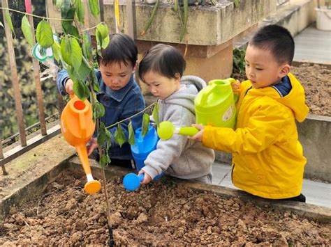 幼儿园植树节创意活动方案小班