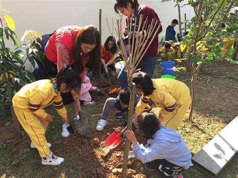 幼儿园植树节新颖活动方案