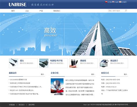 广东专业网站制作案例