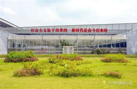 广东省农业技术推广中心地址