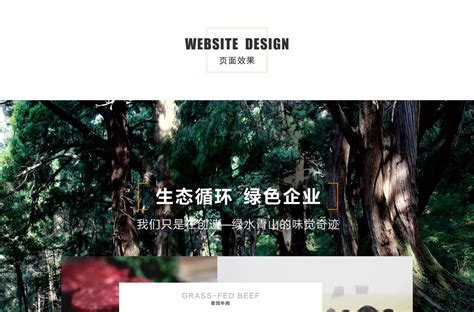 广元设计网站服务