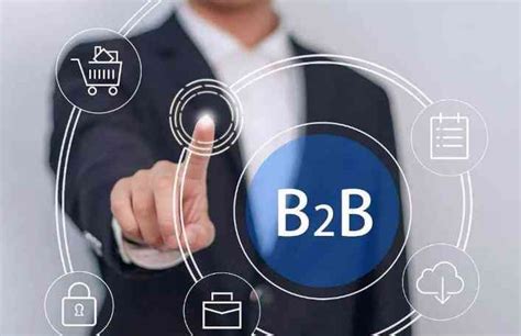 广安b2b网站建设开发哪家专业