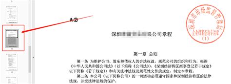 广州公司章程查询网站