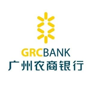 广州农村商业银行打银行流水