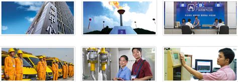 广州市煤气公司网站
