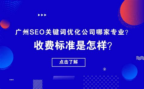 广州seo软件优化公司