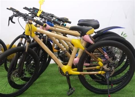 广西小伙用竹子造的自行车