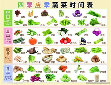 应季蔬菜时间表