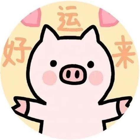 张姓2019猪宝宝取名大全