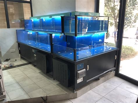 徐州中小型海鲜鱼缸制作
