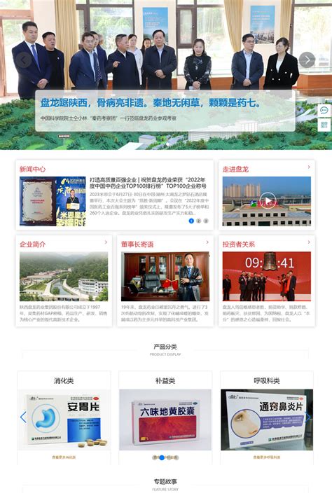 德庆企业网站建设服务