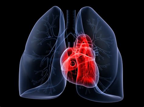 心和肺的养生手法