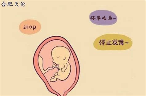怀孕多少周胎儿容易胎停
