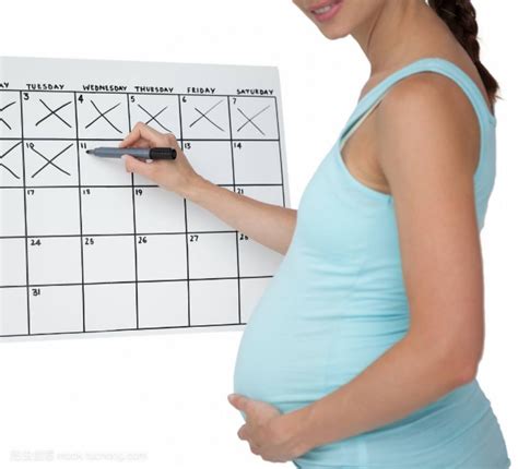 怀孕7个月被家暴怎么办
