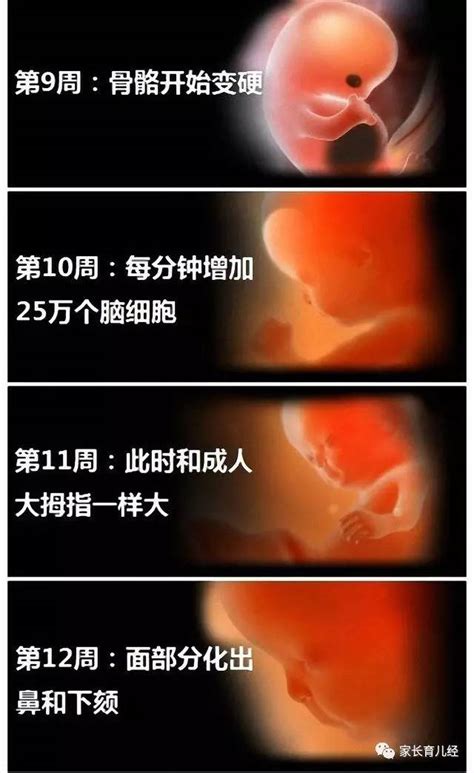 怀孕9周拉稀对胎儿有影响吗