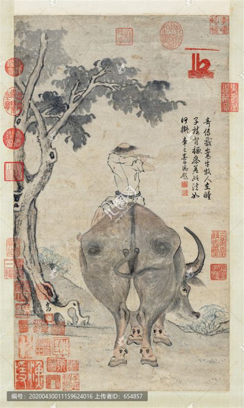 怎么从苏轼的角度讲述戴嵩画牛