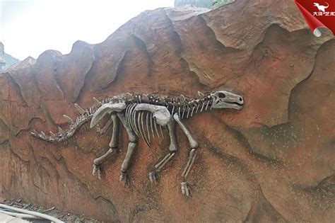 恐龙化石雕塑视频