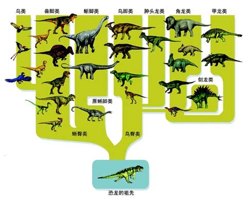 恐龙历史演变