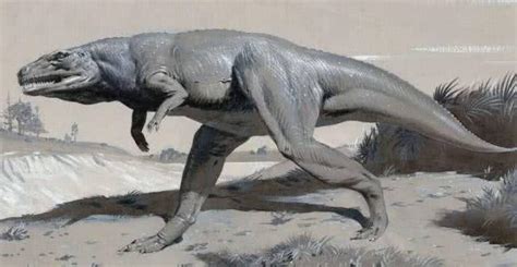 恐龙干尸复原图真的存在吗