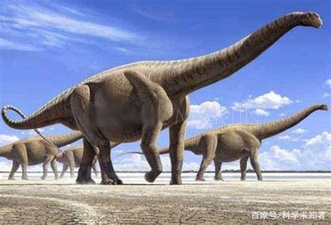 恐龙是不是最大的