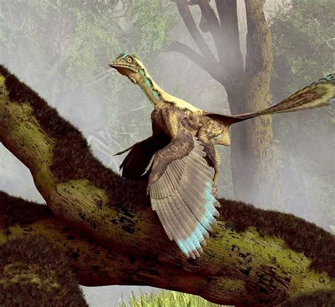 恐龙是鸟类的祖先吗