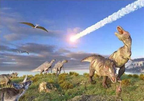 恐龙灭绝了几年