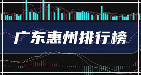惠州50强企业排行榜