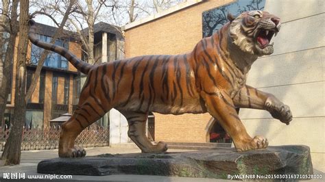 愤怒的老虎雕塑图片