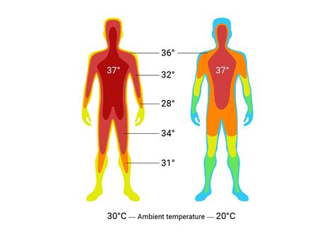 成人人体低温35度怎么办