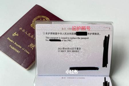 护照已经拿到回执单可以办吗