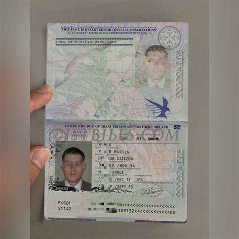 护照模板图片可编辑