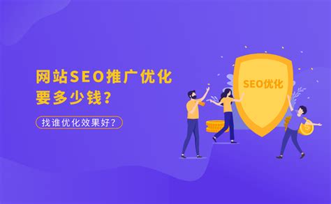 拉萨seo推广优化方案多少钱