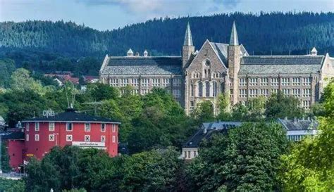 挪威科技大学商学院