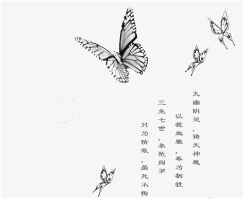 描写蝴蝶的诗句有哪些