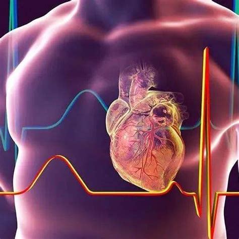 新冠病毒对心脏影响能恢复吗