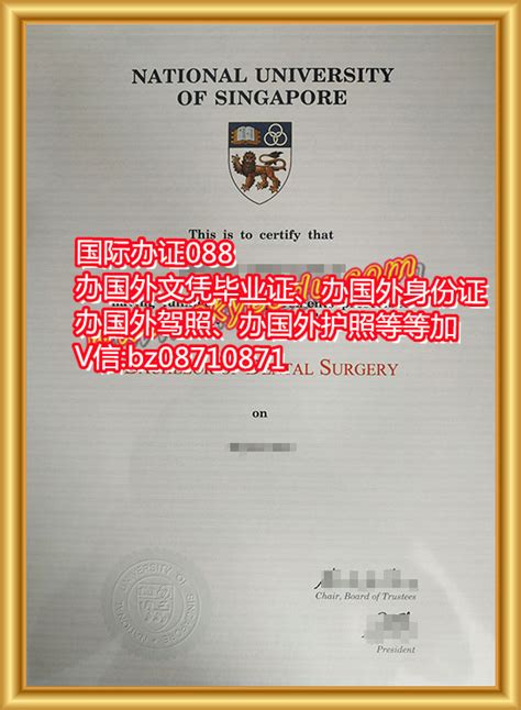 新加坡好毕业证样本