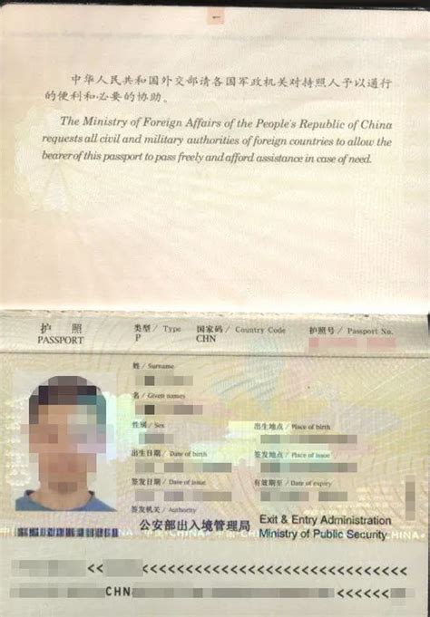 新加坡工作签证的照片