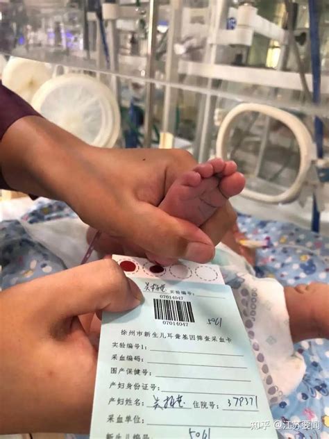 新生儿72小时足底血采血流程