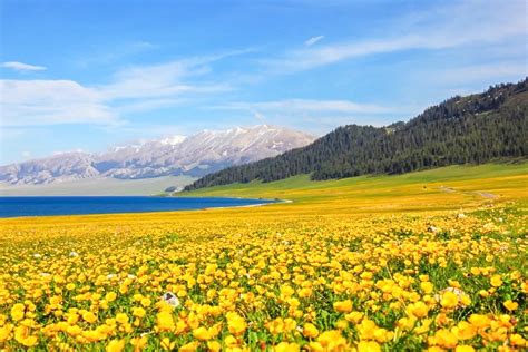 新疆旅游最佳季节